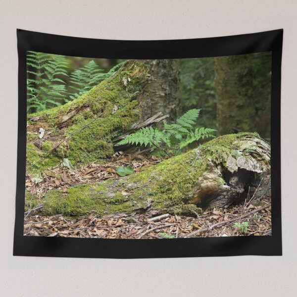 Item preview, Wild Moss in the Forest designed and sold by Betty Mackey.