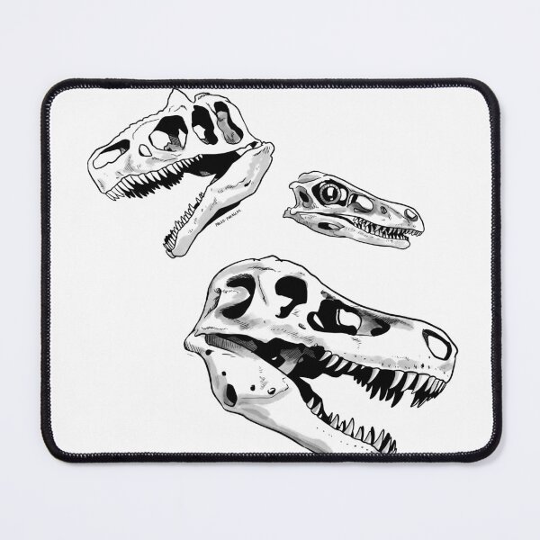 Item preview, Theropod skulls designed and sold by Paleo-parallax.