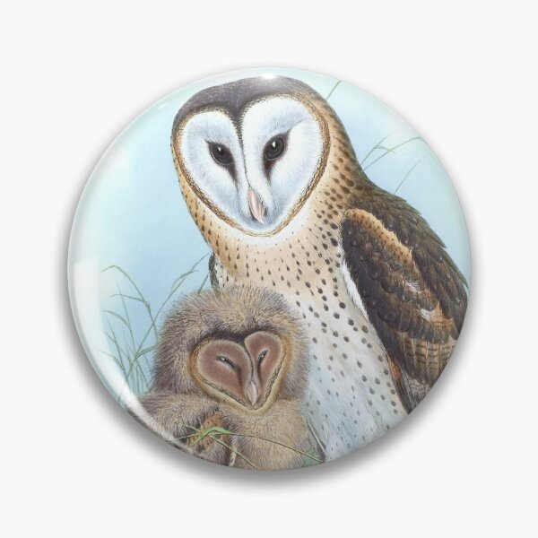 Item preview, Eastern Grass-Owl, 1800s Vintage Bird Art by John Gould and H.C. Richter designed and sold by VintageRestored.
