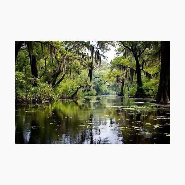 Item preview, Hot summer day in the Bayou County swamp in the style of an oil painting designed and sold by Pflugart.