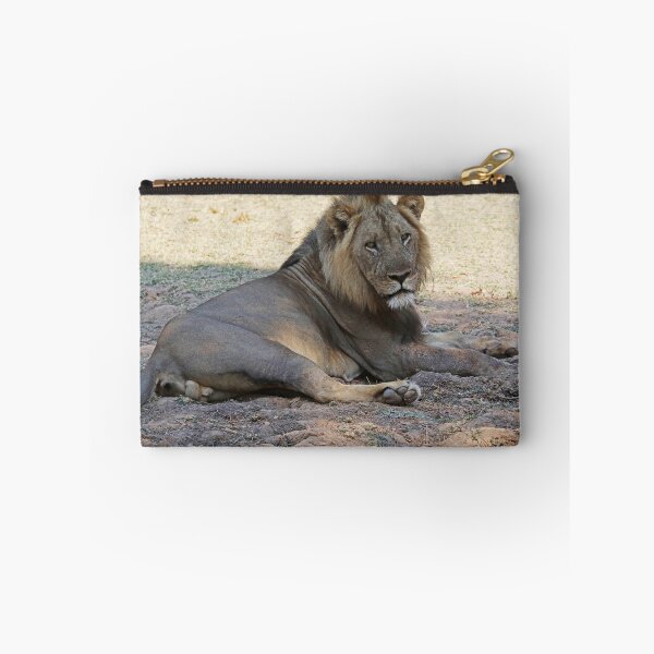 Item preview, Mature Male Lion  designed and sold by nymphalid.