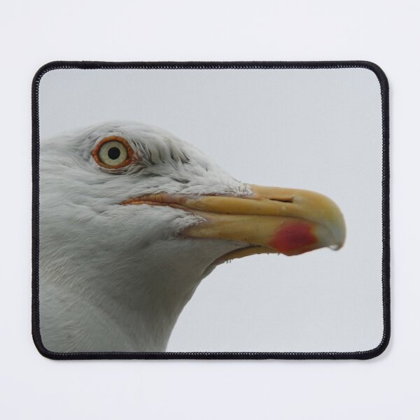 Item preview, I see you. designed and sold by Calidris Fotografie Steffi & Ben Köppler.
