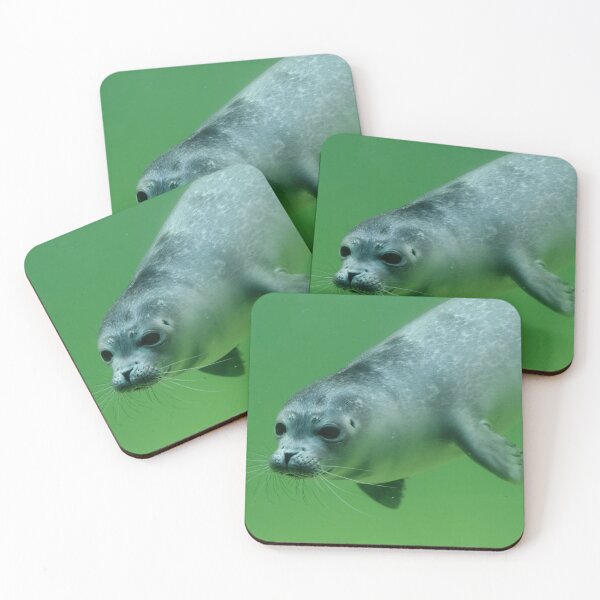 Item preview, Young Common Seal designed and sold by Calidris Fotografie Steffi & Ben Köppler.