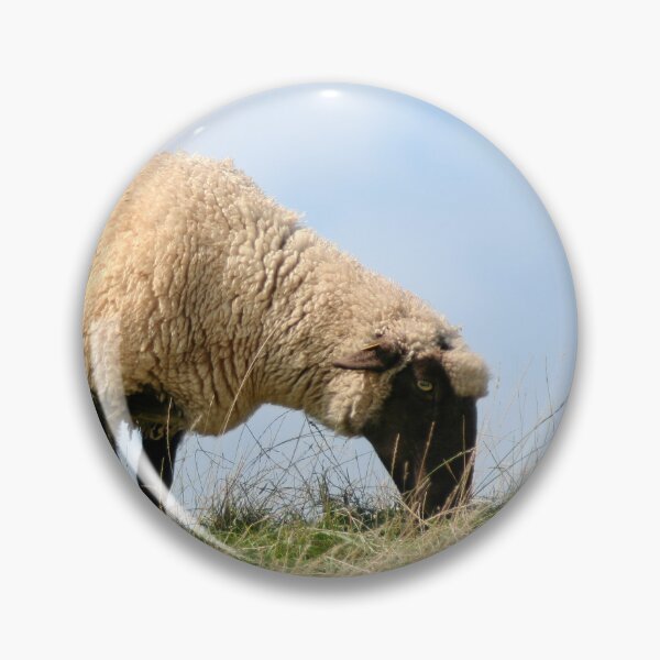 Item preview, Dyke Sheep designed and sold by Calidris Fotografie Steffi & Ben Köppler.