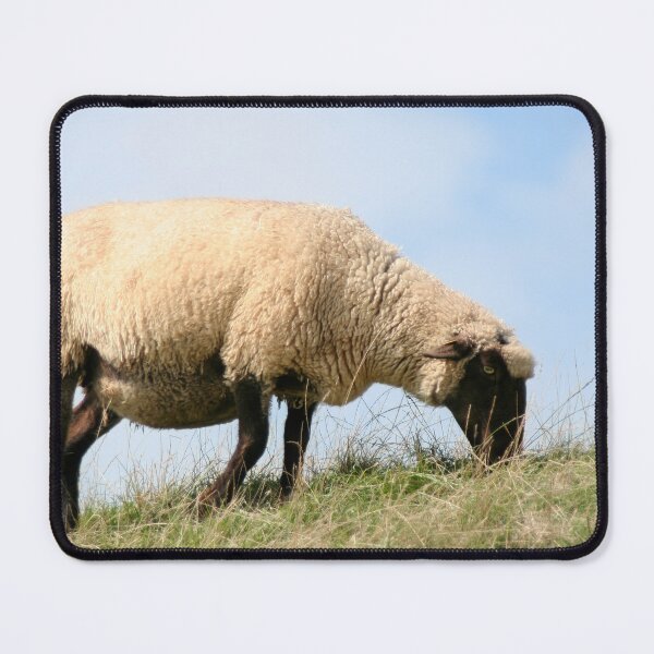 Item preview, Dyke Sheep designed and sold by Calidris Fotografie Steffi & Ben Köppler.