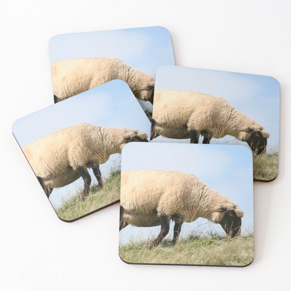 Item preview, Dyke Sheep designed and sold by Calidris Fotografie Steffi & Ben Köppler.