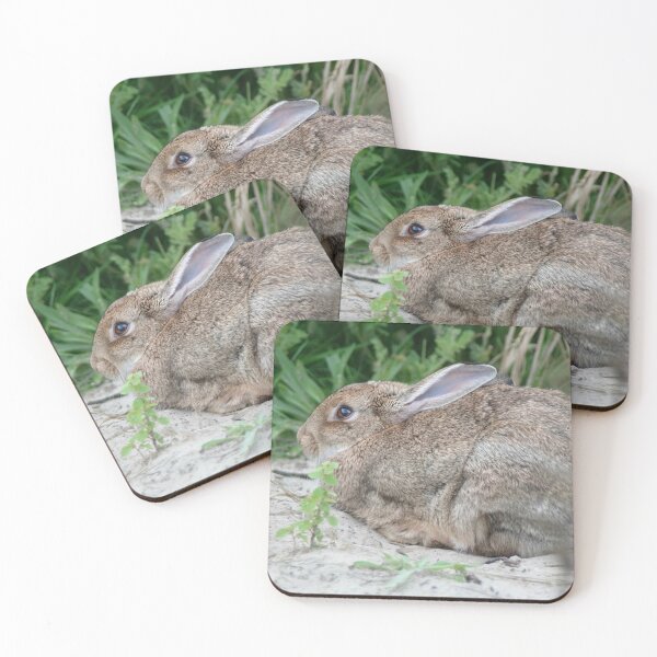 Item preview, I am not here. designed and sold by Calidris Fotografie Steffi & Ben Köppler.