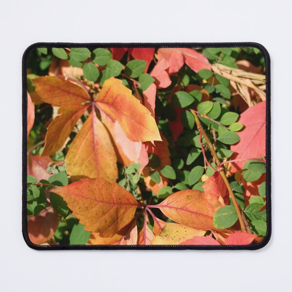 Item preview, Autumn designed and sold by Calidris Fotografie Steffi & Ben Köppler.
