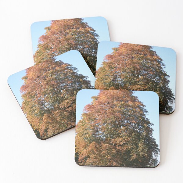Item preview, Autumn Tree designed and sold by Calidris Fotografie Steffi & Ben Köppler.
