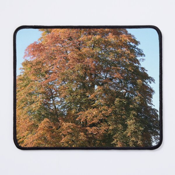 Item preview, Autumn Tree designed and sold by Calidris Fotografie Steffi & Ben Köppler.