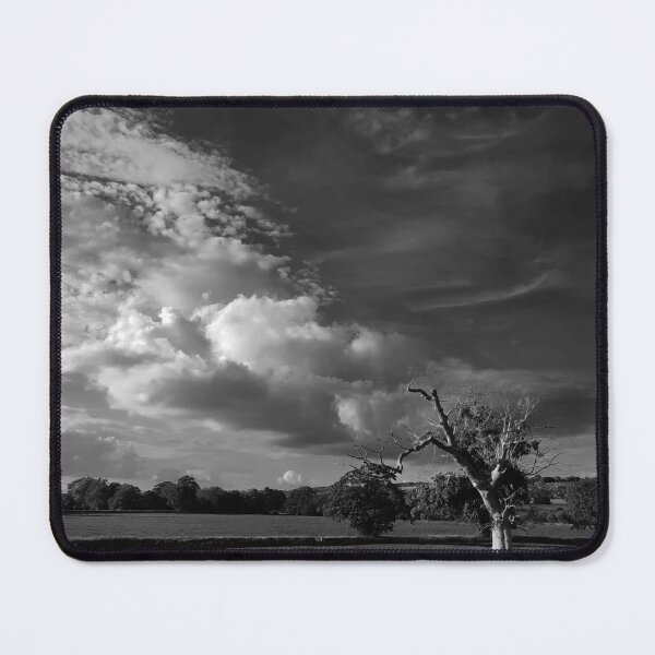 Item preview, Tree Draining Clouds, Somerset UK designed and sold by JonDelorme.