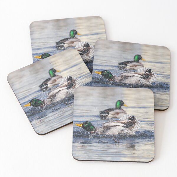 Item preview, Bathing mallard designed and sold by GreyFeatherPhot.