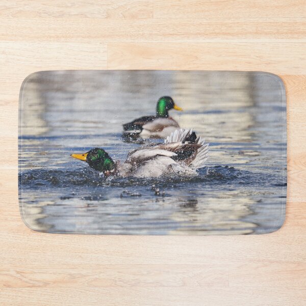 Item preview, Bathing mallard designed and sold by GreyFeatherPhot.