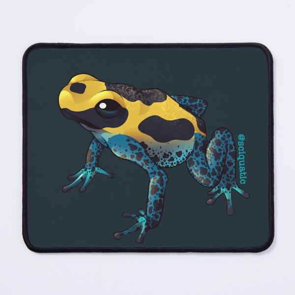 Item preview, Powder Blue & Yellow Poison Dart Frog Illustration by @Sciquatic designed and sold by Sciquatic-Arts.