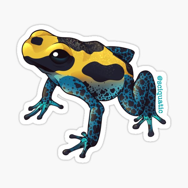 Item preview, Powder Blue & Yellow Poison Dart Frog Illustration by @Sciquatic designed and sold by Sciquatic-Arts.