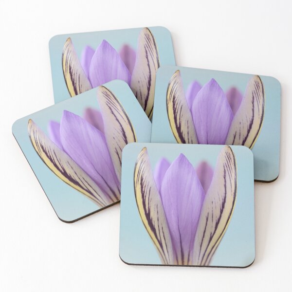 Item preview, Crocus corsicus  AGM	  Corsican crocus   designed and sold by Chris Burrows.