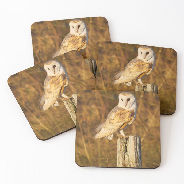 Item preview, Barn Owl portrait designed and sold by Steve Miller.