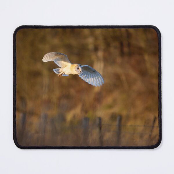 Item preview, Barn Owl hunting designed and sold by Steve Miller.
