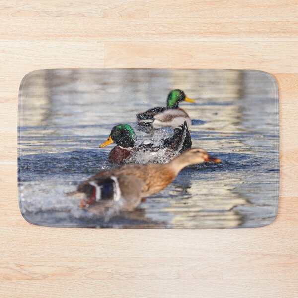 Item preview, Mallard photobomb designed and sold by GreyFeatherPhot.