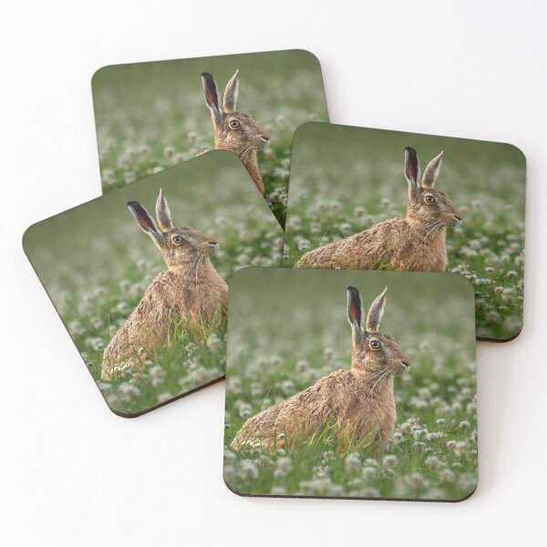 Item preview, Browh Hare in Clover designed and sold by Steve Miller.