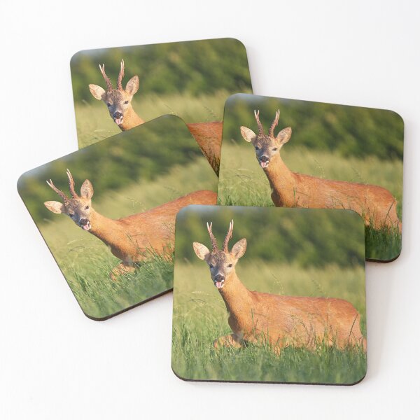 Item preview, Cheeky Roebuck designed and sold by Steve Miller.