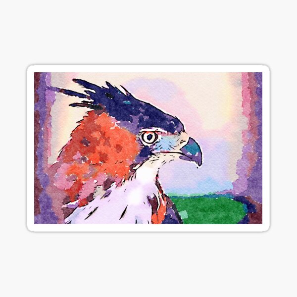 Colourful Bird Sticker
