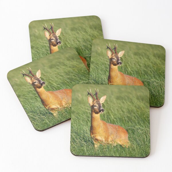 Item preview, Roebuck designed and sold by Steve Miller.