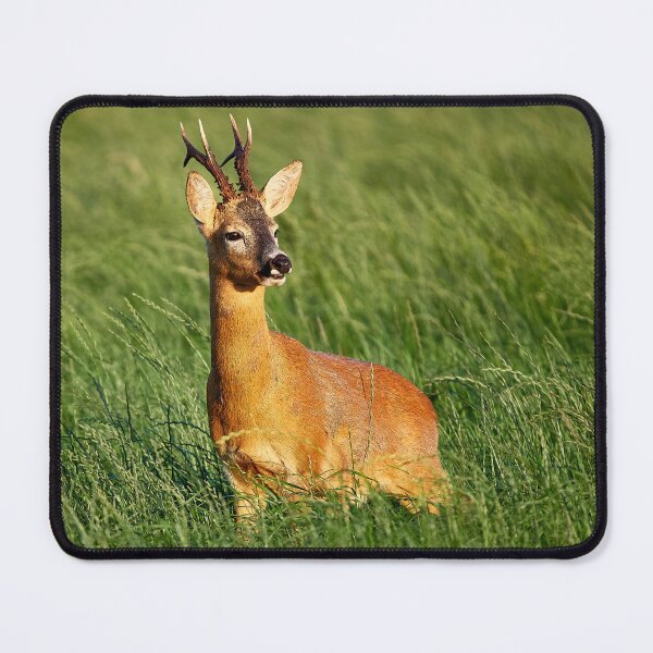 Item preview, Roebuck designed and sold by Steve Miller.