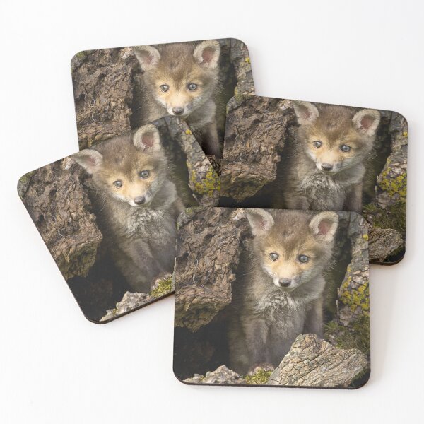 Item preview, Fox cub designed and sold by Steve Miller.