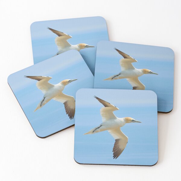 Item preview, Gannet designed and sold by Steve Miller.