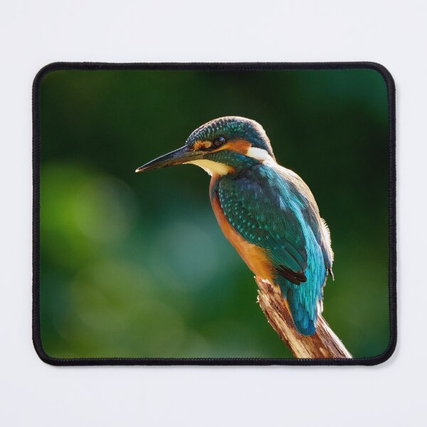 Item preview, Kingfisher designed and sold by Steve Miller.