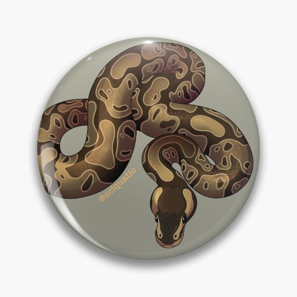 Item preview, Ball Python Illustration by @Sciquatic designed and sold by Sciquatic-Arts.
