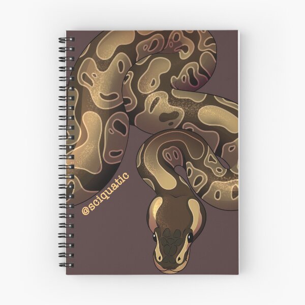 Item preview, Ball Python Illustration by @Sciquatic designed and sold by Sciquatic-Arts.