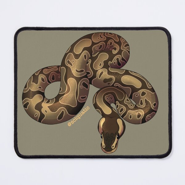 Item preview, Ball Python Illustration by @Sciquatic designed and sold by Sciquatic-Arts.