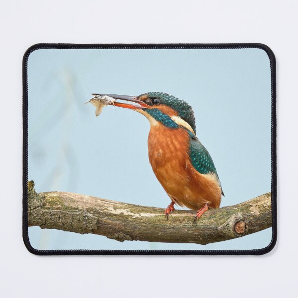 Item preview, Kingfisher with catch designed and sold by Steve Miller.