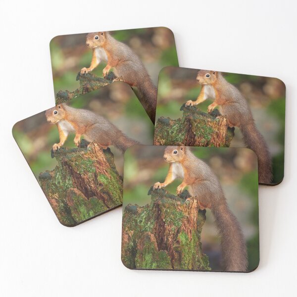 Item preview, Red Squirrel designed and sold by Steve Miller.