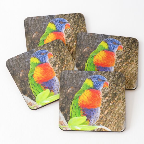 Item preview, Rainbow Lorikeet designed and sold by JEZ22.