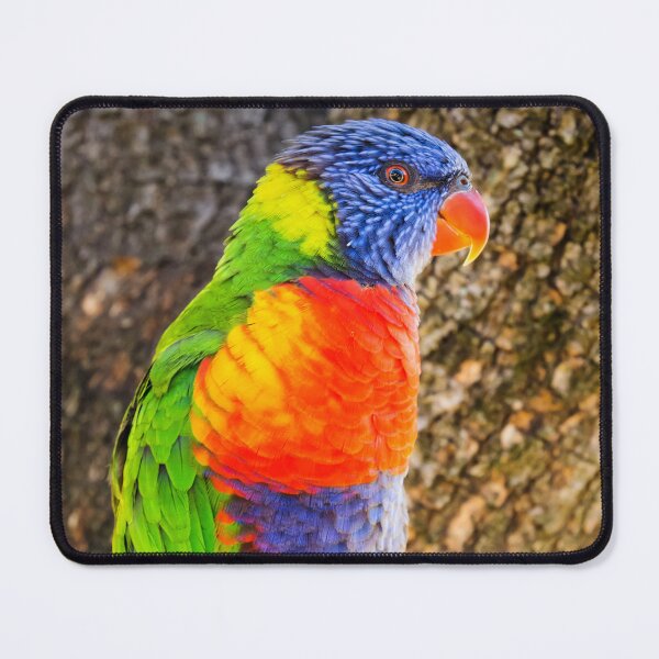 Item preview, Rainbow Lorikeet designed and sold by JEZ22.