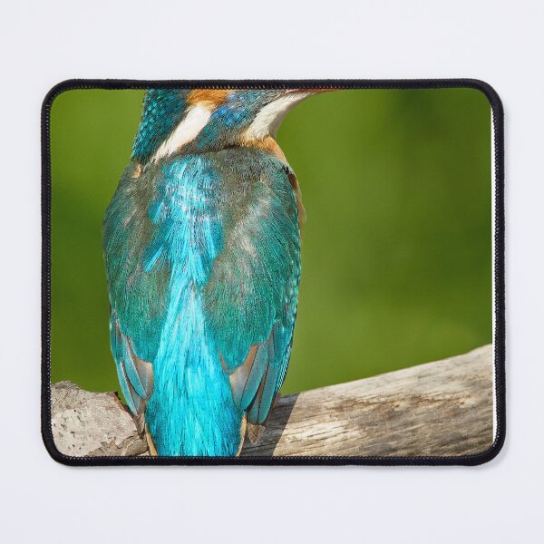 Item preview, Kingfisher designed and sold by Steve Miller.