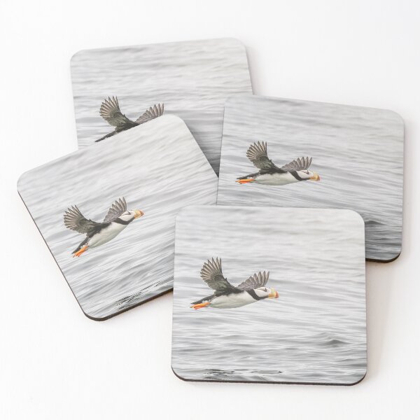 Item preview, Horned Puffin In Flight 2 Alaska designed and sold by PhotoArt by Joan Carroll.