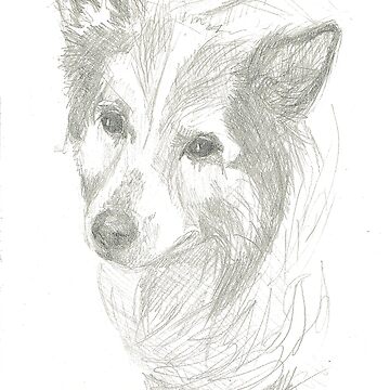 Artwork thumbnail, Mr. Bojangles: drawing of collie dog by Dustwood-Media