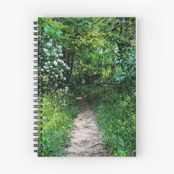 Item preview, Fairy Path designed and sold by Jason Tompkins.
