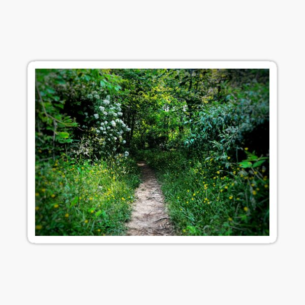 Aperçu de l'œuvre Chemin des Fées créée et vendue par Jason Tompkins.