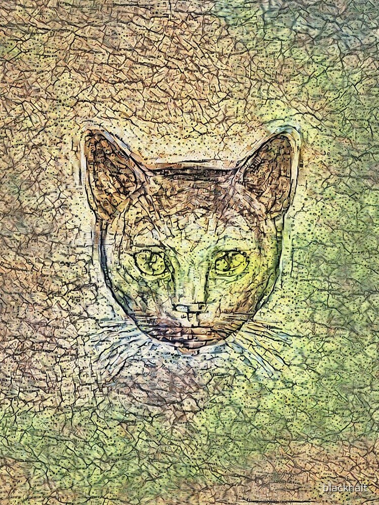 Cat on his way home by blackhalt