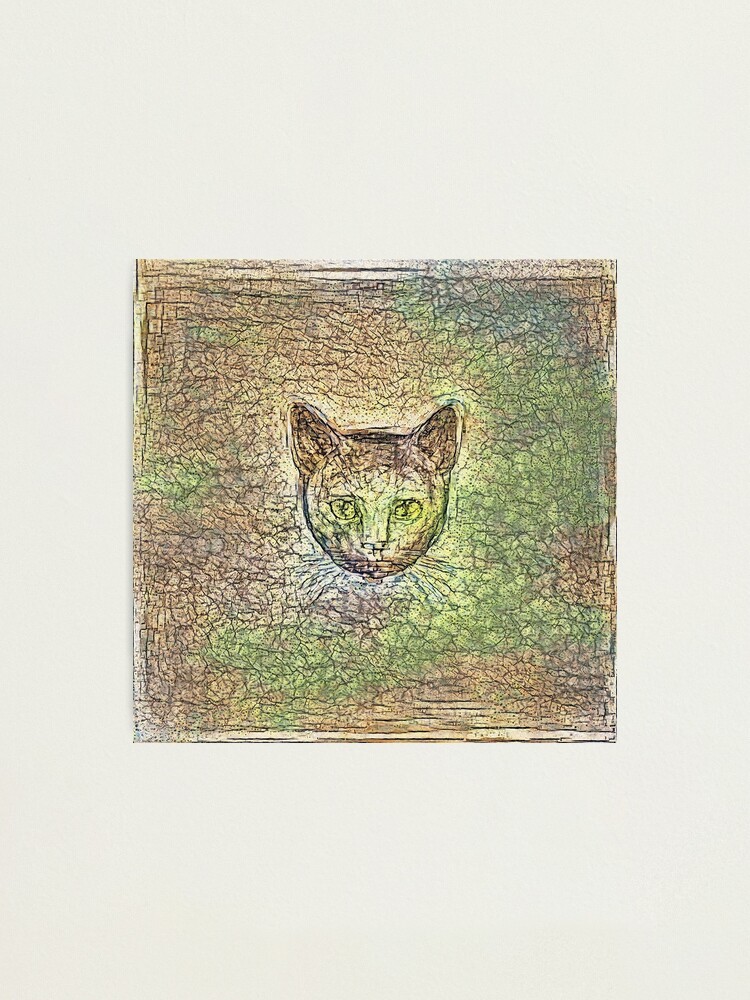 Alternate view of Cat on his way home Photographic Print