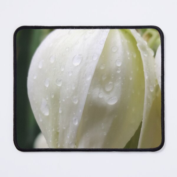 Item preview, Bell designed and sold by TenelArt.