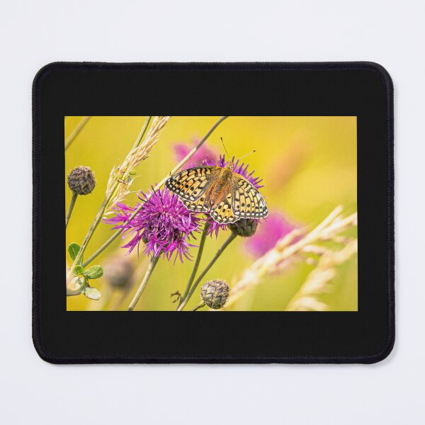 Item preview, Butterfly on a flower designed and sold by Mothboybrown.