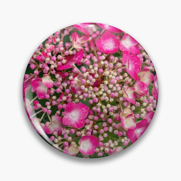 Item preview, The Blume Beginning designed and sold by barkeypf.