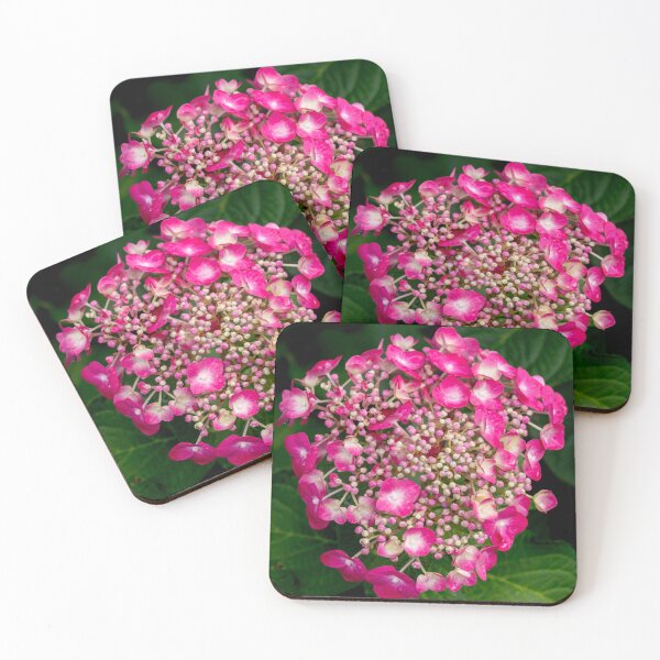 Item preview, The Blume Beginning designed and sold by barkeypf.