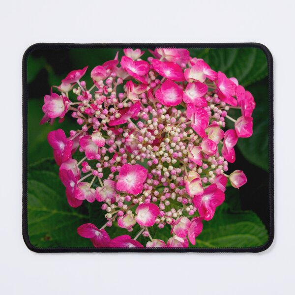 Item preview, The Blume Beginning designed and sold by barkeypf.